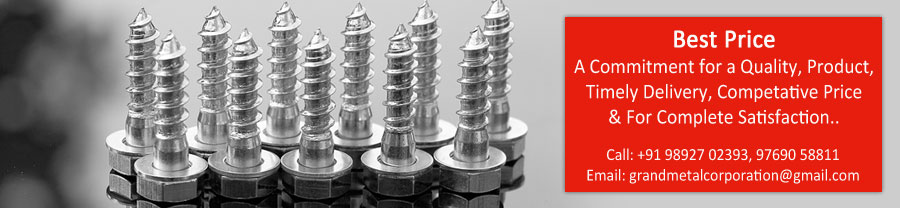 304 Stainless Steel Screw