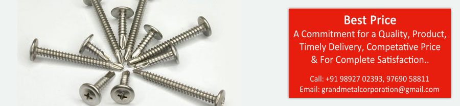 310 Stainless Steel Screw