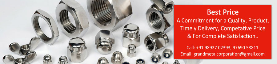 316 Stainless Steel Nuts