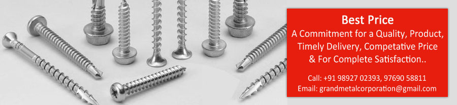 316 Stainless Steel Screw