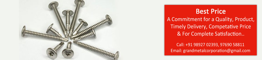 316L Stainless Steel Screw