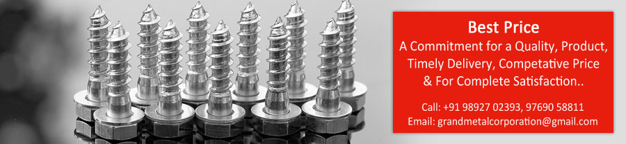 317 Stainless Steel Screw