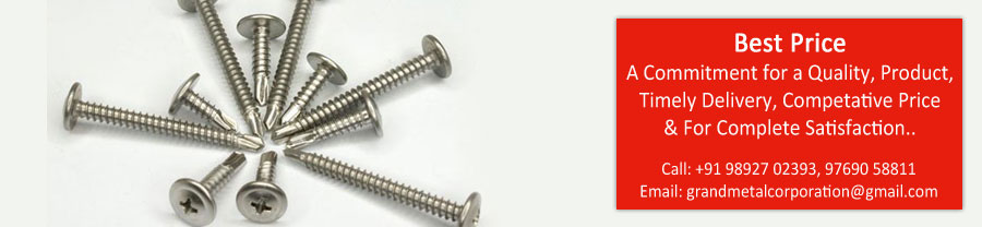 410 Stainless Steel Screw